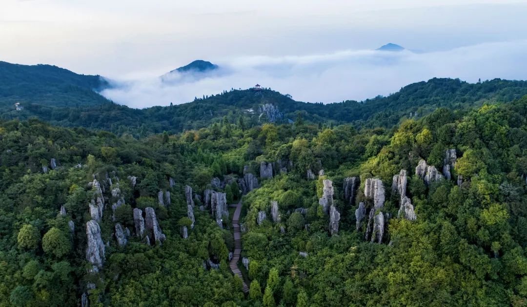 想常住华蓥山景区的看过来了，机会不多，错过再无